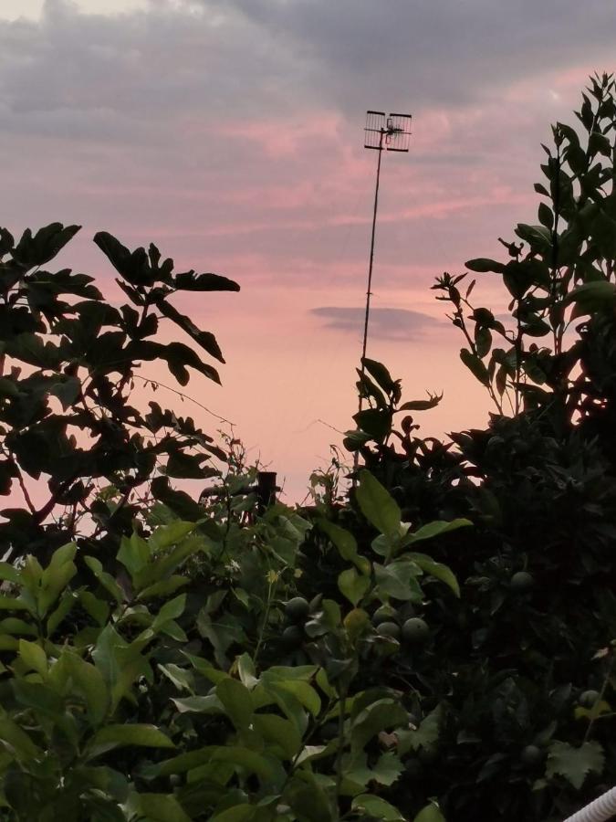 Hotel Dimora Di Donna Rita Anacapri  Exteriér fotografie