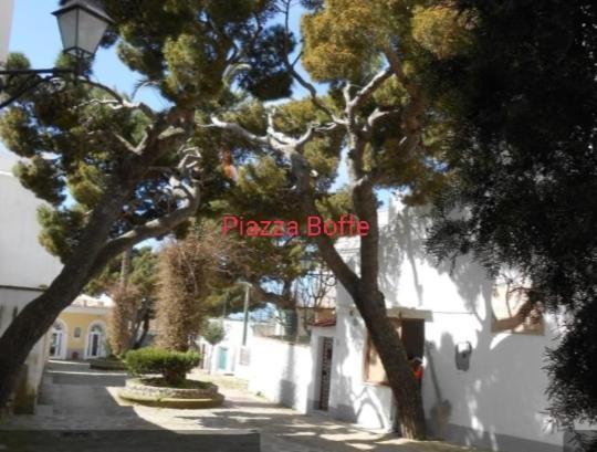 Hotel Dimora Di Donna Rita Anacapri  Exteriér fotografie